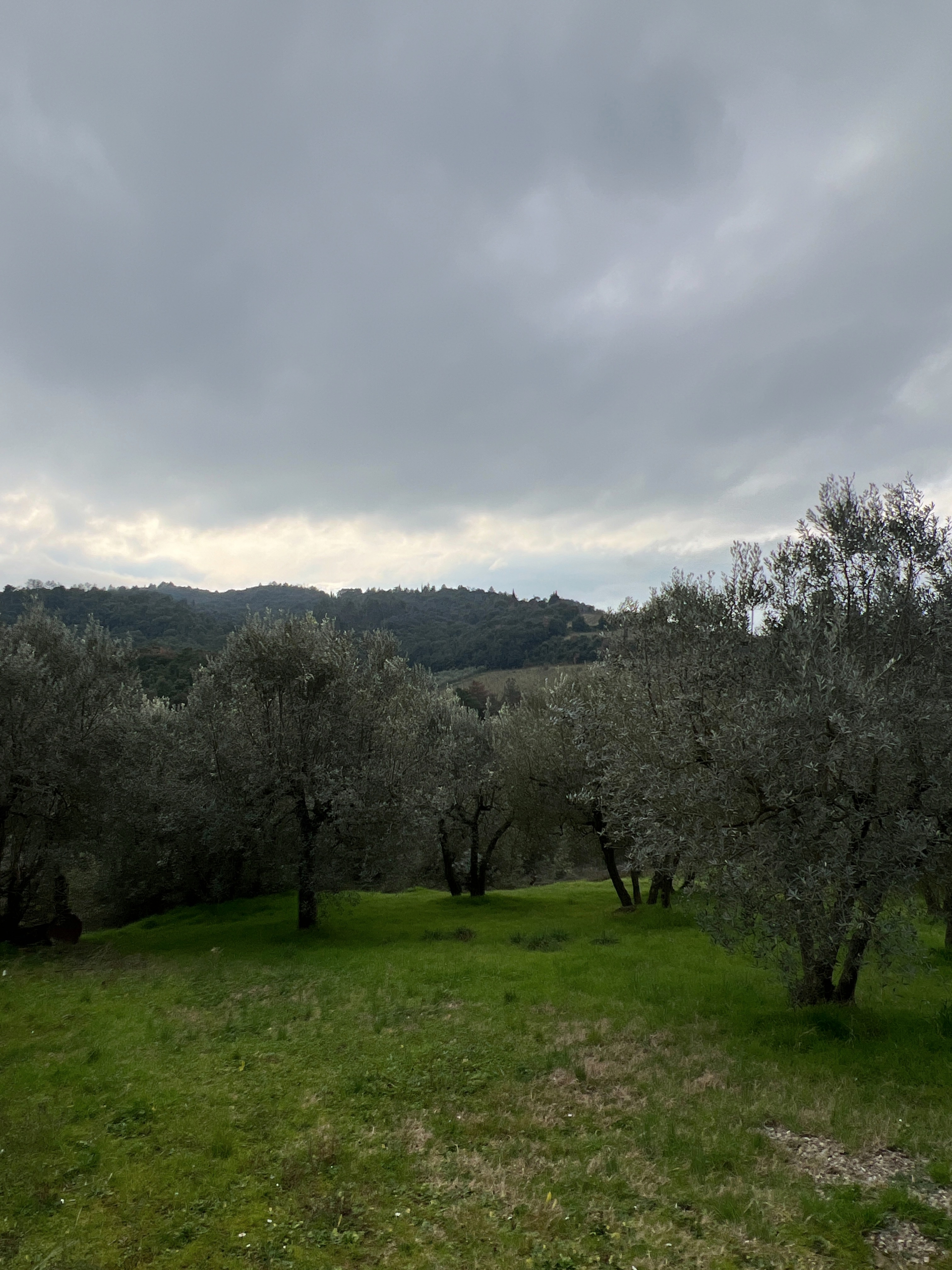 DJI_20250125_145918_801