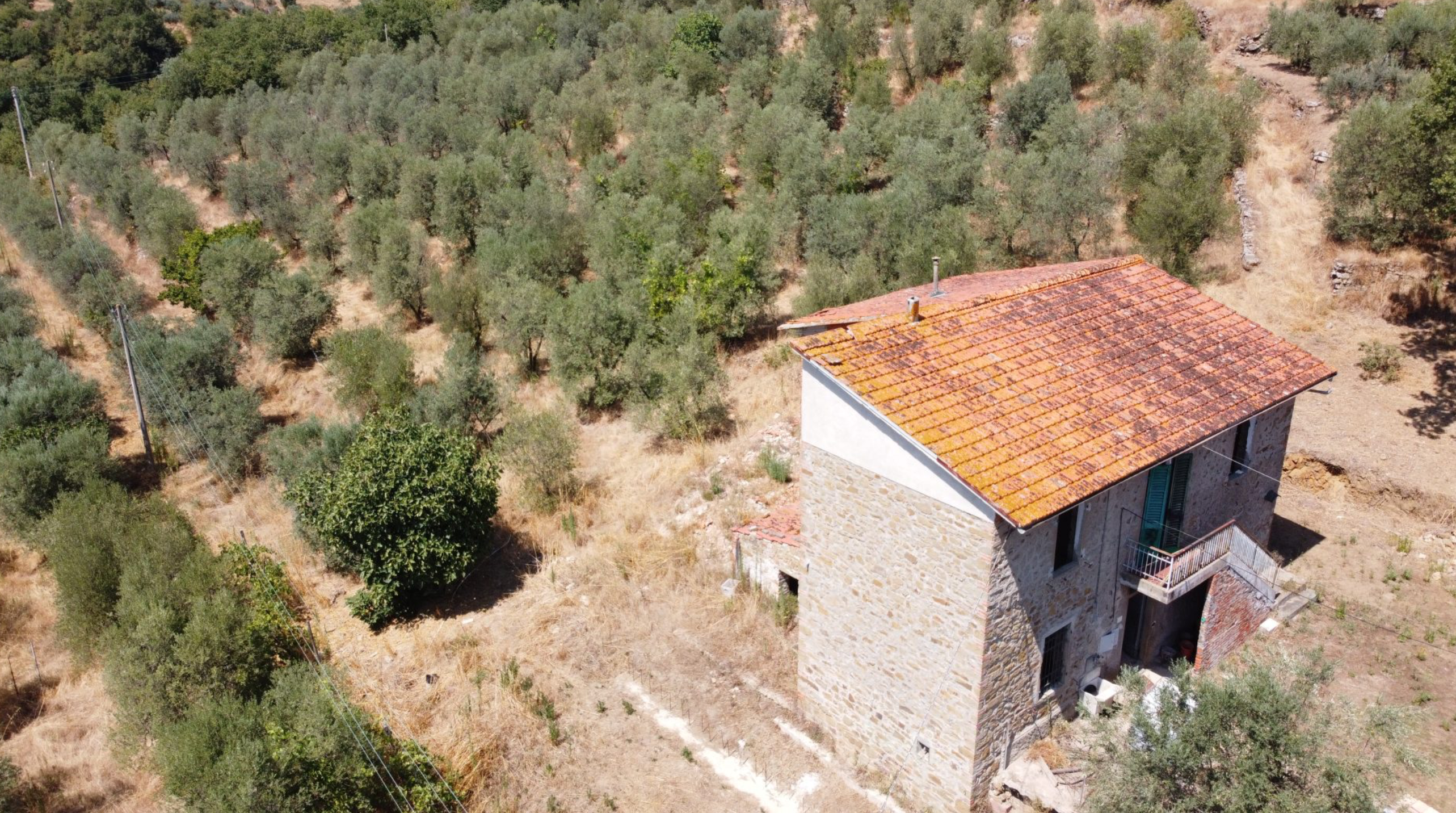 Screenshot 2025-01-03 alle 09.17.23