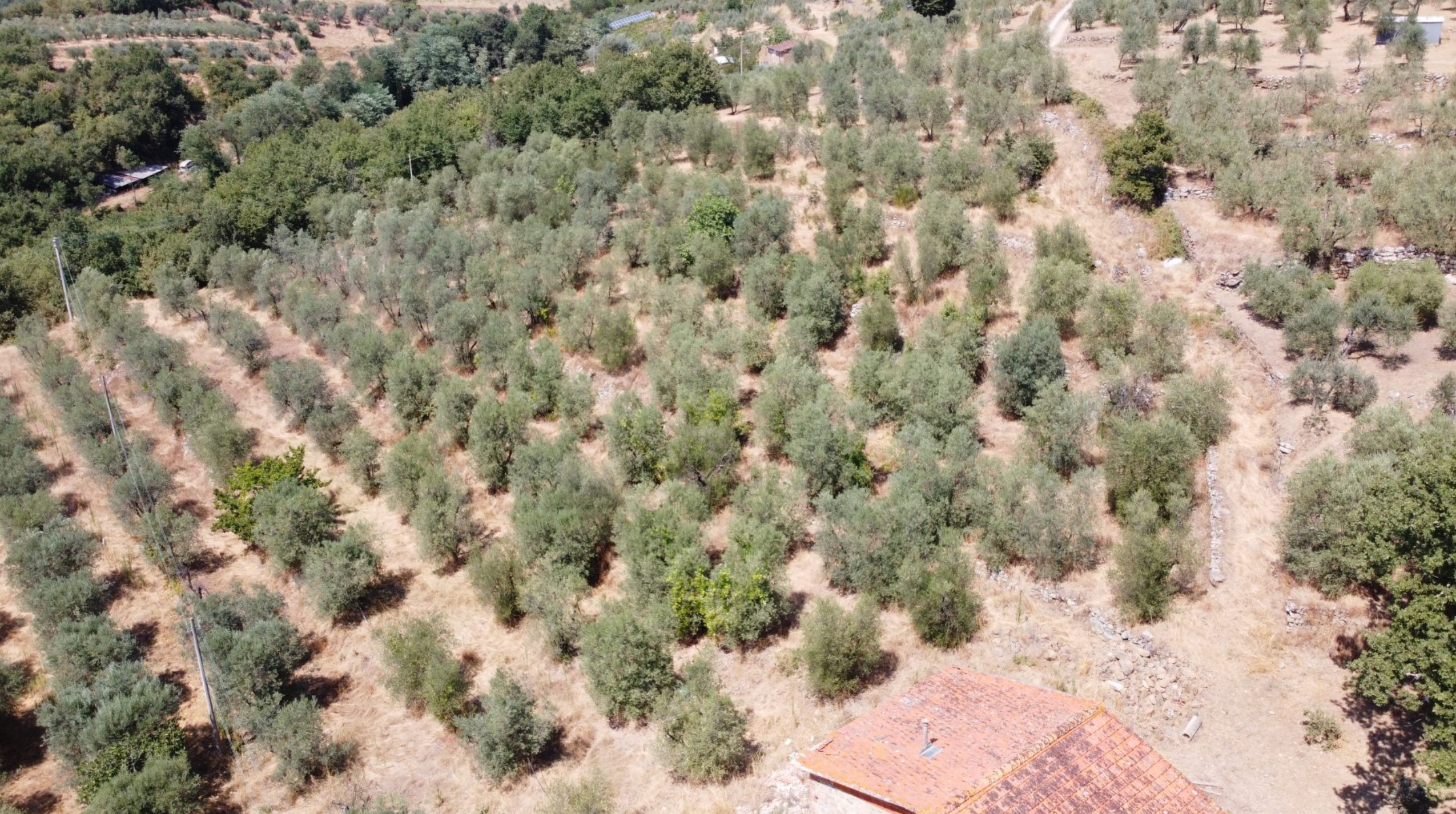 Screenshot 2025-01-03 alle 09.17.29