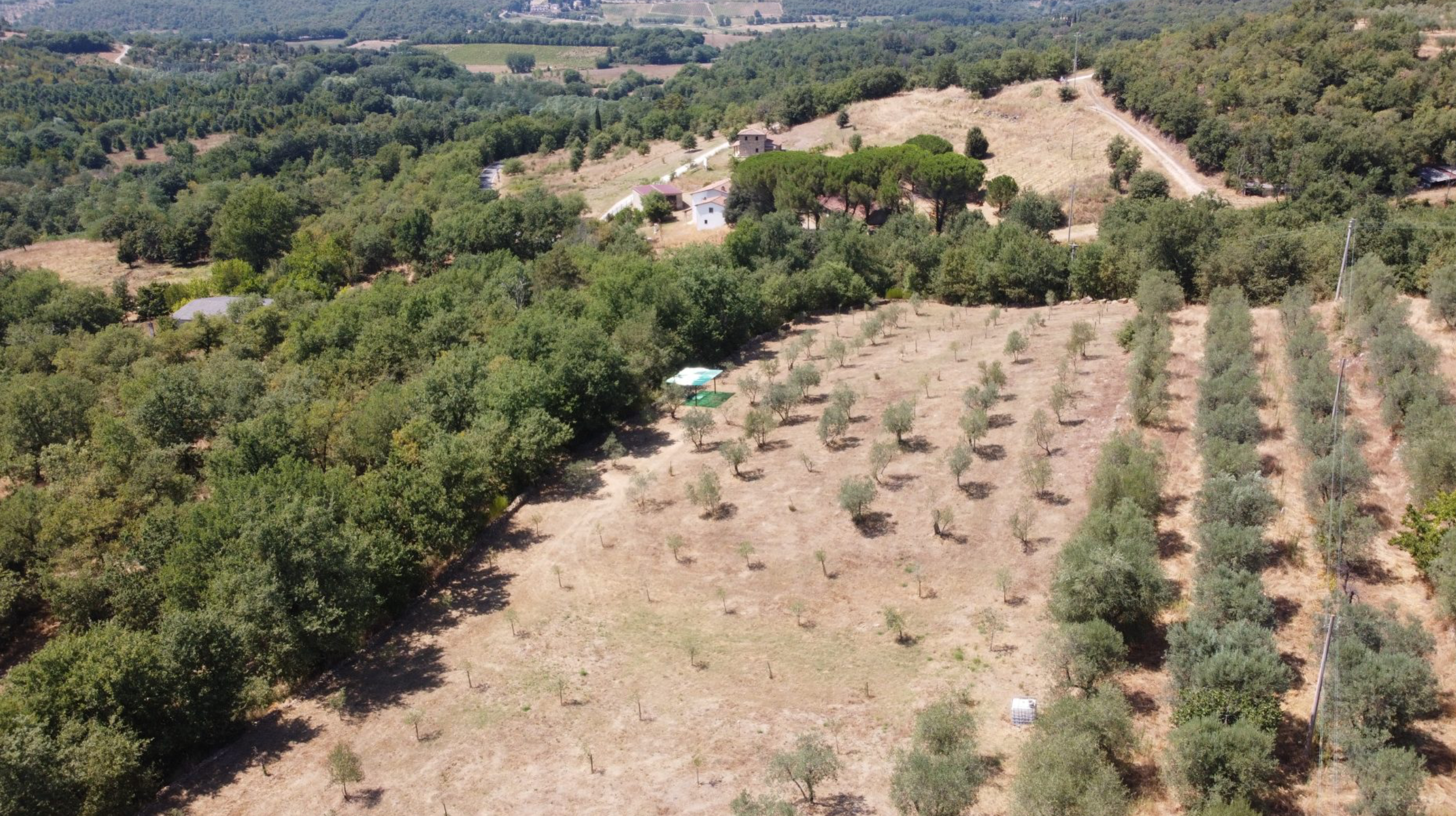 Screenshot 2025-01-03 alle 09.17.35