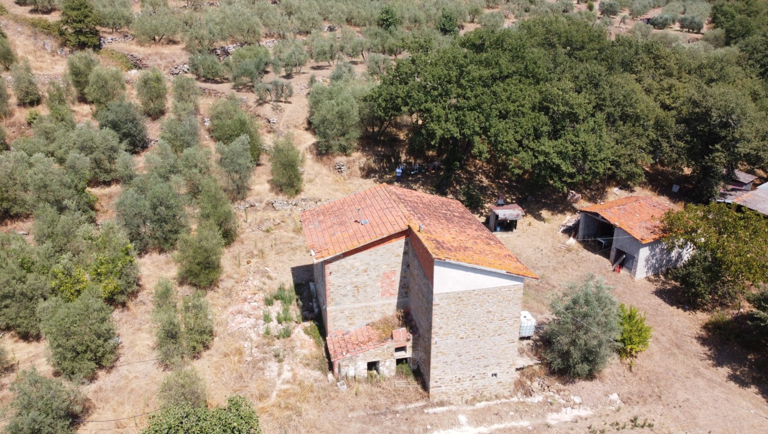 Screenshot 2025-01-03 alle 09.17.48