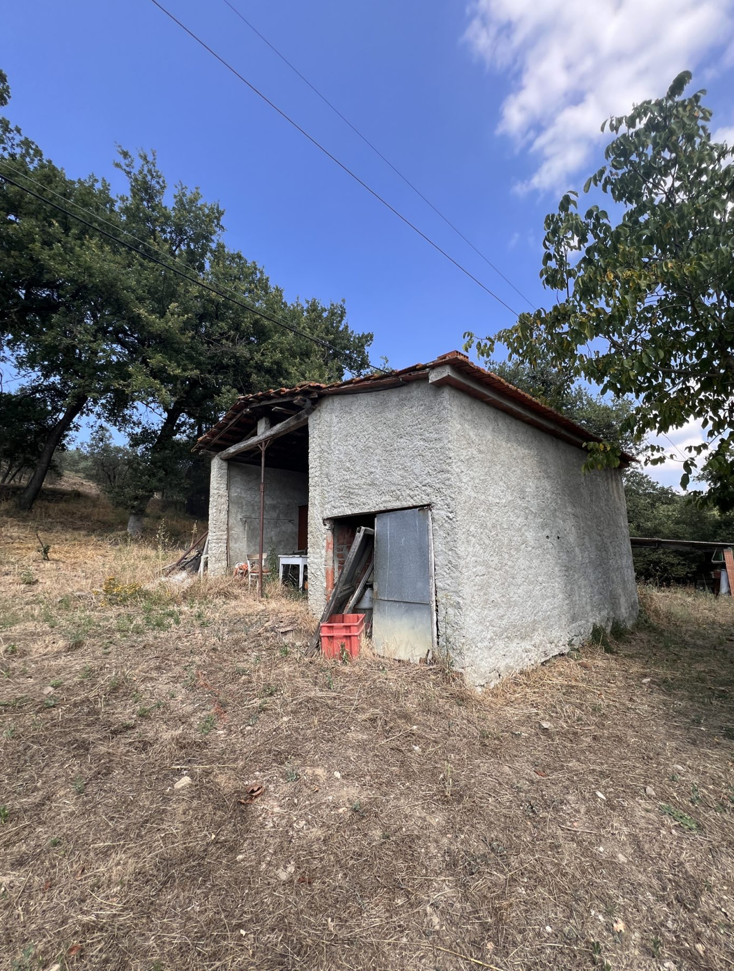 Screenshot 2025-01-03 alle 09.18.17