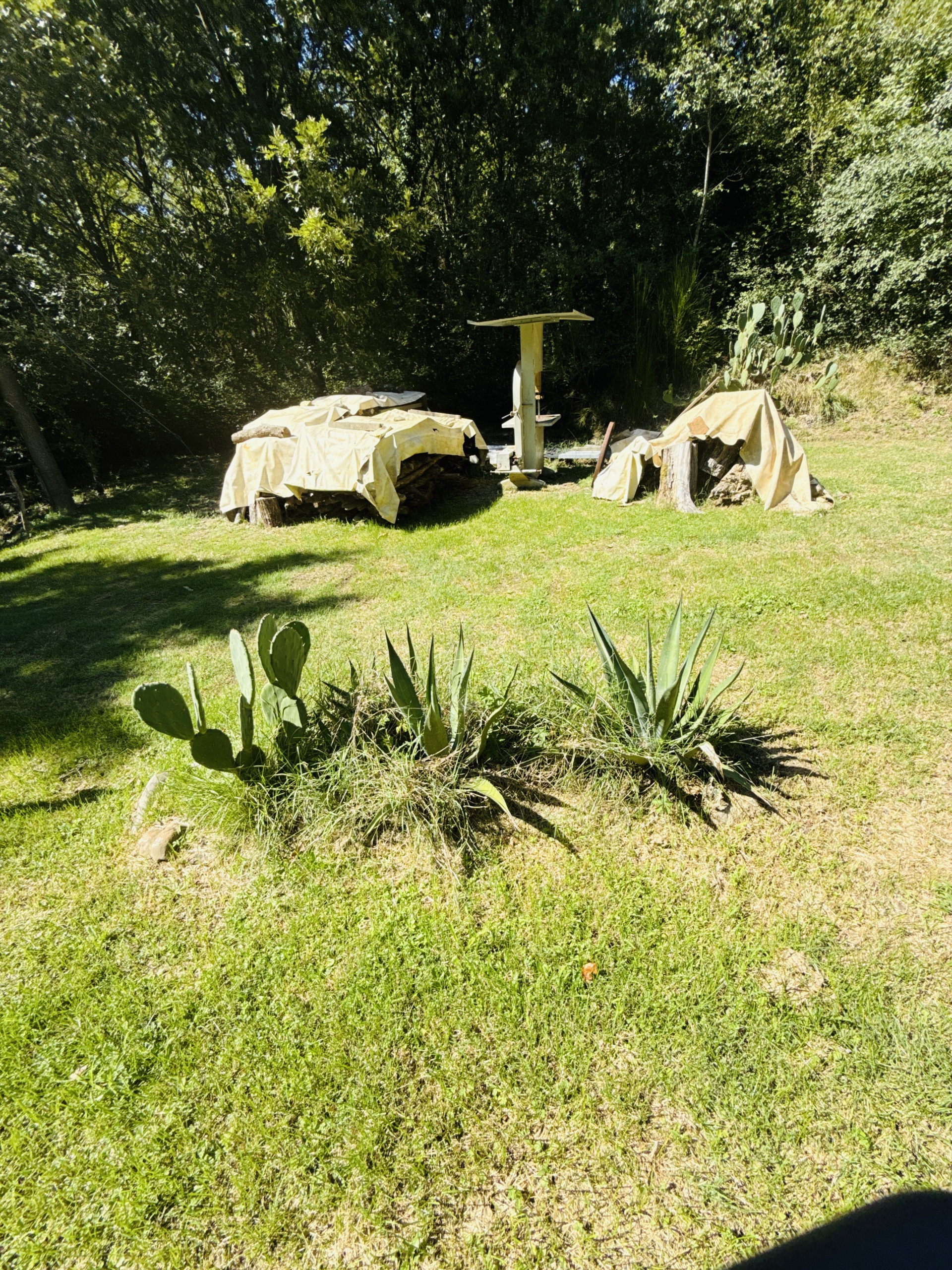 DJI_20250903_145804_292