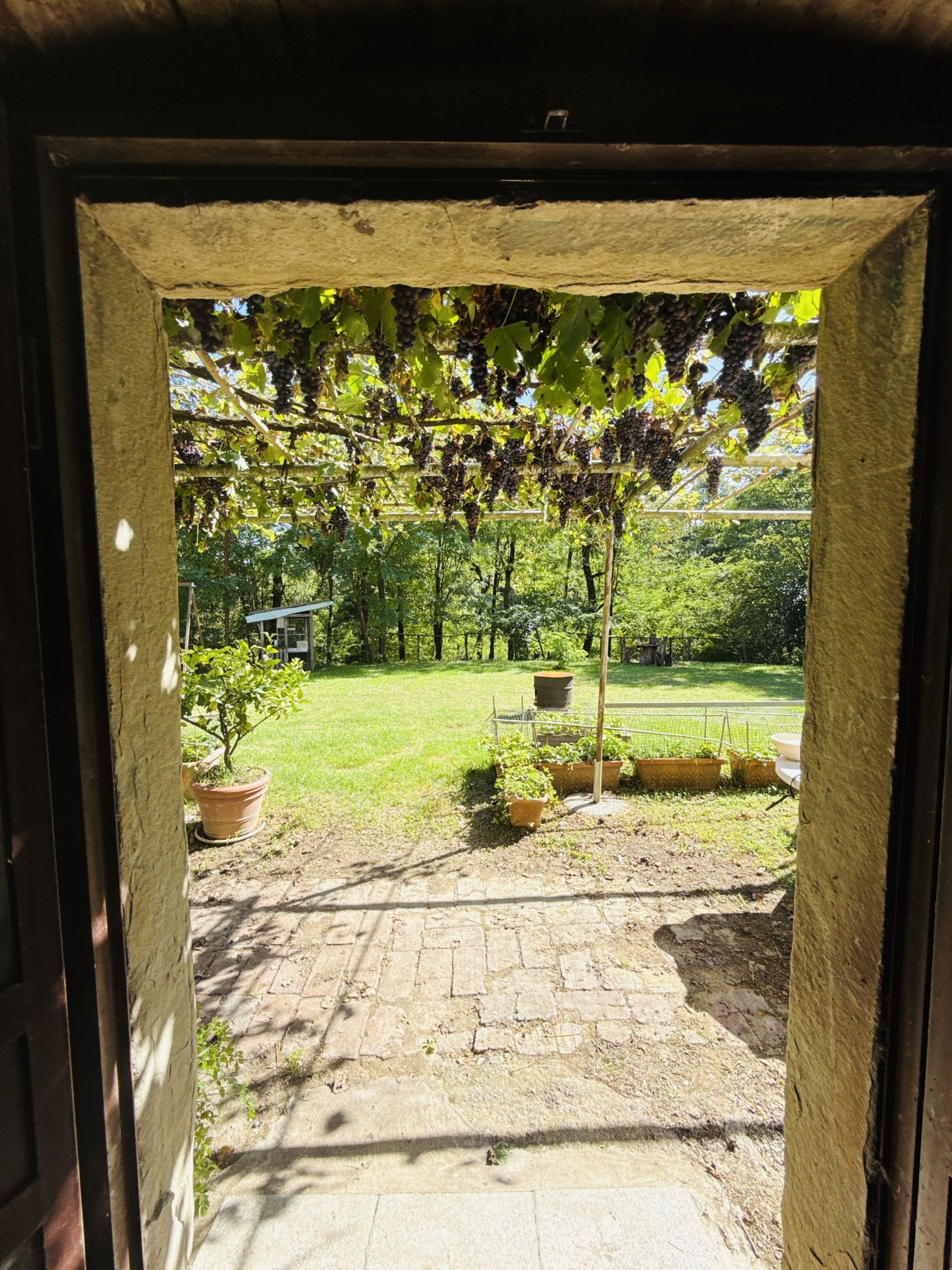 DJI_20250903_154327_632